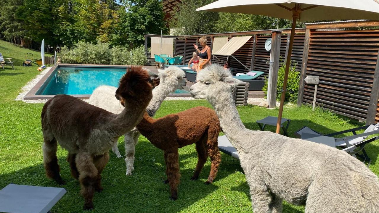 Dolomit Boutique Hotel La Villa  Ngoại thất bức ảnh
